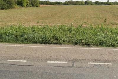 Teren de 9500 mp, în Merei - 4