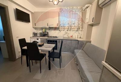 Studio de închiriat în brazdă - 3