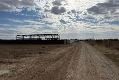 Teren DN4-A0 cu deschidere la Soseaua Oltenitei - 2