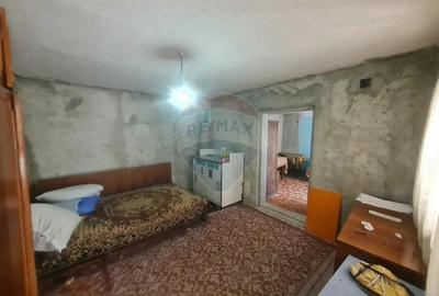 Casă cu 4 camere cu Teren 1041 Mp în Jariștea - 6