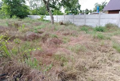 Vind casa in com Ulmu jud Calara?i - 10