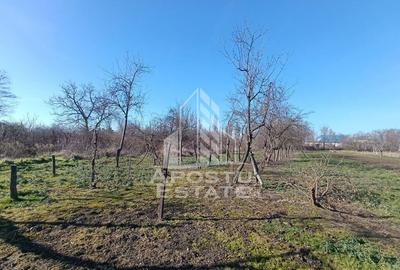 Casă cu 5 camere cu Teren 2158 Mp în Freidorf