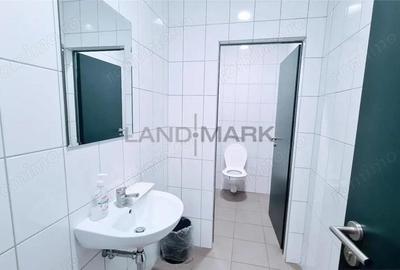 Hala industriala 2400 mp, Calea Lugojului - 1