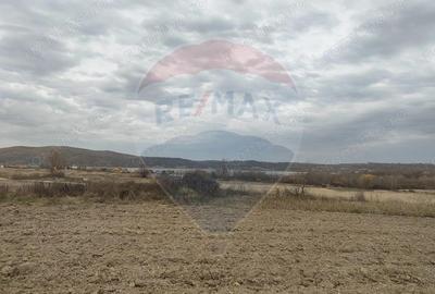 Teren lacul Surduc - Fardea - 4