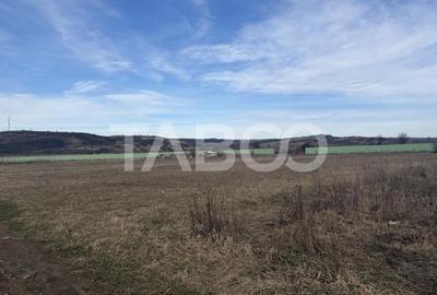 Teren Construcții intravilan de 1440 mp, în Vest - 4