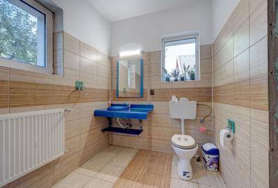 POVESTEA UNEI CASE PENTRU GENERATII  | VILA CU FARMEC, LUMINA SI TEREN 1618 MP POVESTEA UNEI CASE PENTRU GENERATII  | VILA CU FARMEC, LUMINA SI TEREN 1618 MP - 26