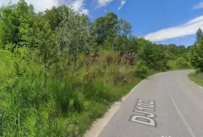 Teren de 3274 mp, în Lunca Mare - 1