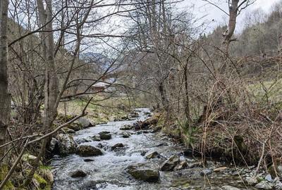 Teren de 6855 mp, în Exterior Vest - 15