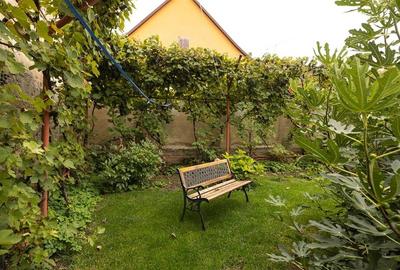 Casa pretabila: rezidential/ comercial/ servicii/investitional,Central,Fagaras - 18