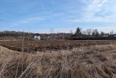 Teren de 13383 mp, în Broșteni - 2
