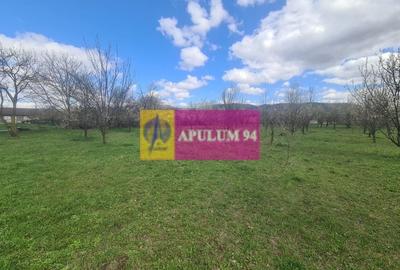 Teren Construcții intravilan de 2348 mp, în Brebu