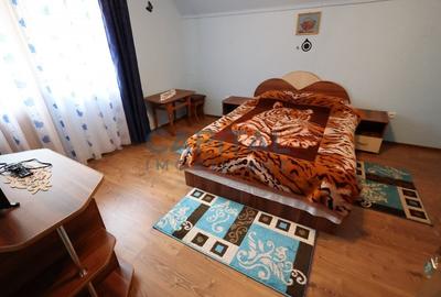 Casa de vacanta/pensiune in Dambovicioara, Arges - 34