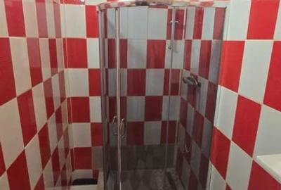 Apartament 3 camere-decomandat-zona Gorjului / Iuliu Maniu - 6