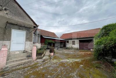 Casa 266 mp, 3992 mp teren, garaj, terasa, Topolovatu Mare-Timisoara - 7