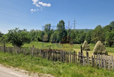 Teren Construcții intravilan de 2300 mp, în Arefu - 5