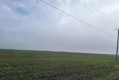 Teren extravilan Orbeasca, ID: R2836912 - 7