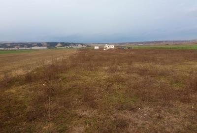 Spațiu comercial, în Mihai Viteazu - 7