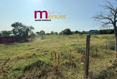 Teren 2900 mp , Dunavatul de sus - 2