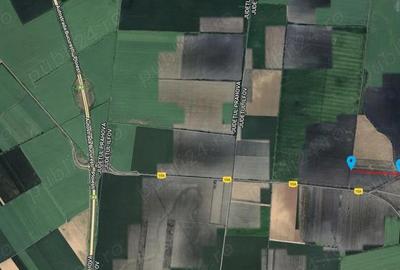 Teren 53.211 mp Nuci Merii Petchii, Ilfov - 5 mp - 6