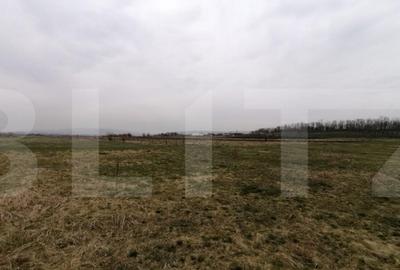 Teren intravilan 750 mp in Sopor - Cluj Napoca, front 29m - 2