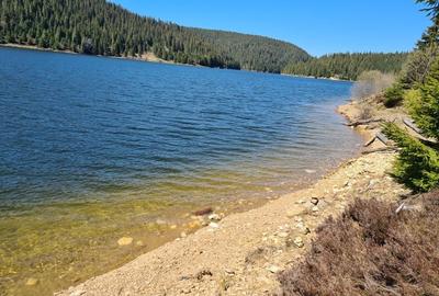 Spațiu comercial, în Beliș - 7