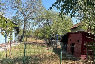 Casă cu 4 camere cu Teren 2800 Mp în Mozăceni - 5