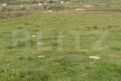 Teren partial intravilan 14800 mp, situat in loc. Paraul lui Mihai - 3