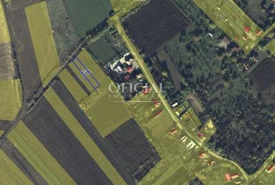 Teren extravilan | 700 mp | Priveliste | sat Pata - 2