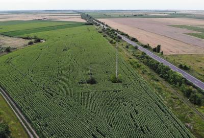 Teren agricol extravilan de 18000 mp, în Becicherecu Mic - 2