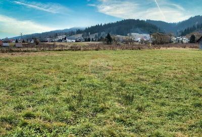 Teren Intravilan de vanzare Vatra Dornei - 10