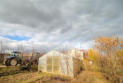 Vanzare ferma agricola Negru Voda - Constanta cu 240 hectare teren si utilaje - 20