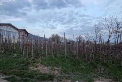 Teren în Central - 1