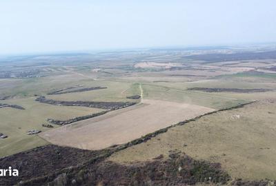 Teren de 268200 mp, în Ardud - 7