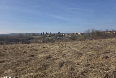 Spațiu comercial, în Feleacu - 7