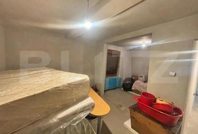 Casă cu 5 camere cu Teren 5000 Mp în Unirea - 2