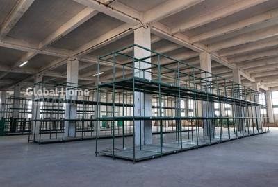 Spatiu comerical-birouri-productie-showroom | 1000 MP - 3000 MP | APACA-AFI Mall - 14