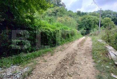 Cabana 3 cam,2 nivele 100 mp+teren extravilan 2,5 ha+1 ha padure,zona Nasaudului - 12