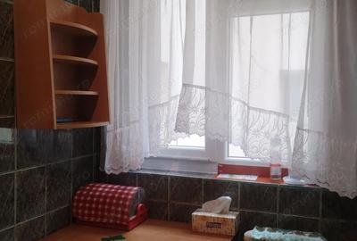 Apartament cu 3 camere decomandat în Timișoara - 10