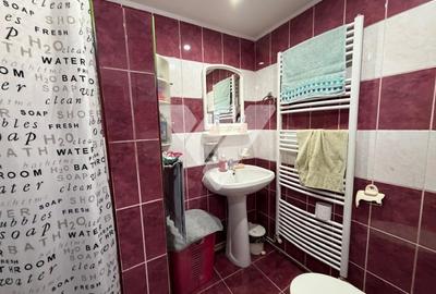 Casa cu curte individuala 3 camere ,teren 290mp Vasile Aaron Sibiu - 8