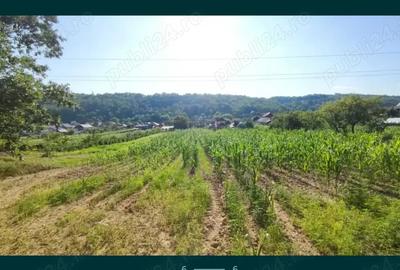 Teren ?i casa de vanzare in ?icleni, sat Tun?i - 2