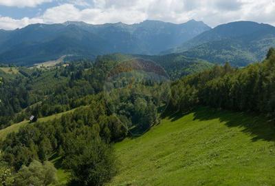 Teren Panoramic in Bran Vedere spre Bucegi & Piatra C... - 11