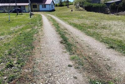 Teren de 6000 mp, în Badon - 3