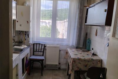 Apartament cu 2 camere decomandat în Ștefănești - 5