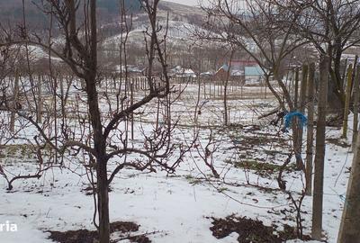 Teren de 704 mp, în Rediu - 6