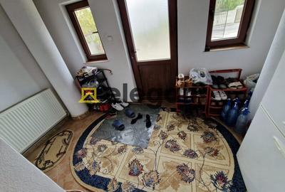 Casa, parter, suprafata 168 mp, teren 600 mp, panouri, mobilata, Bariera Valcii - 15