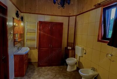 Proprietate cu Vedere Panoramica superba teren1900mp , Campulung Muscel (Arge?) - 3