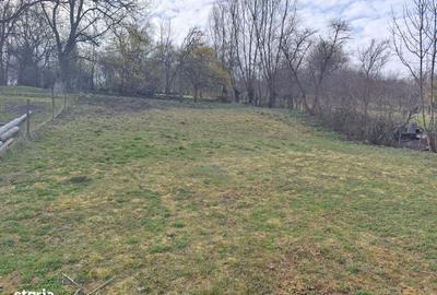 Spațiu comercial, în Săcăreni - 5