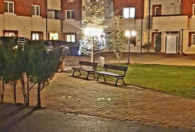 Casă cu Teren 3000 Mp în Central - 2