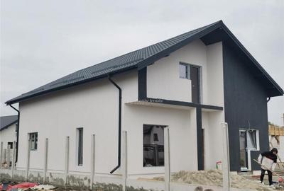 Pantelimon, Ferma animalelor, vila P M,2025 - 3