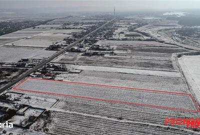 Teren de 16540 mp, în Săucești - 5